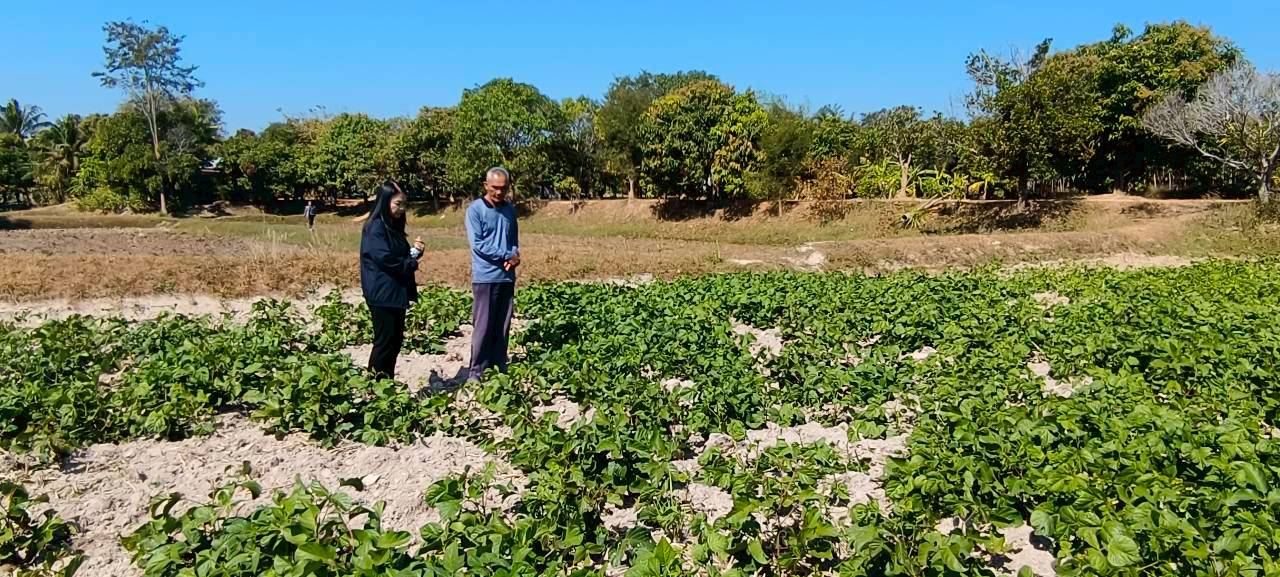 title - ส.ป.ก.ยโสธร ตรวจเยี่ยมเกษตรกรกลุ่มแปลงใหญ่สมุนไพรและเกษตรกรวิสาหกิจชุมชนแปรรูปข้าวเกษตรอินทรีย์บ้านโนนยาง ในเขตปฏิรูปที่ดิน ในพื้นที่ตำบลคำน้ำสร้าง และตำบลกำแมด อำเภอกุดชุม จังหวัดยโสธร 